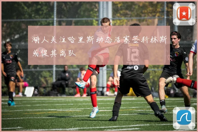 湖人关注哈里斯动态活塞签科林斯或促其离队